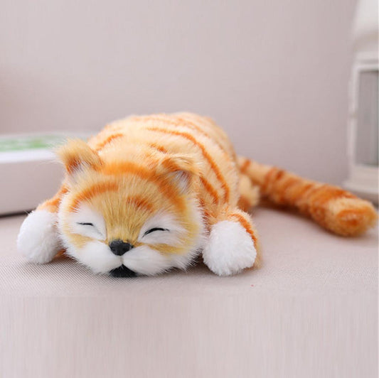 Funny laughing Rolling Cat