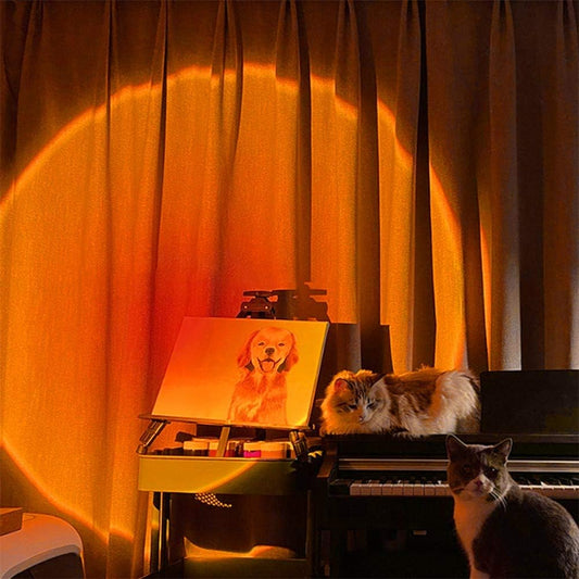 Sunset Lamp Projection Led Lights