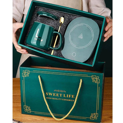 Electric Heating Mug