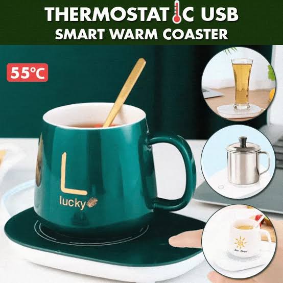 Electric Heating Mug